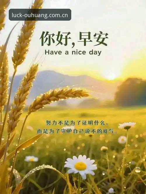 欧皇体育官方网站 欧皇体育官方网站最新动态:好运赋能赛事新体验,创新版本引领互动变革