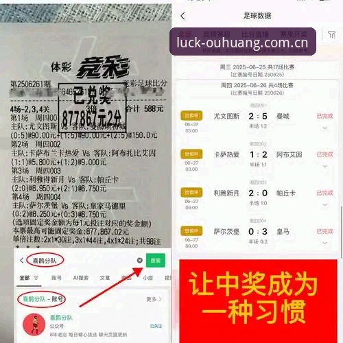欧皇体育平台安卓版下载流程深度评测：从安装到赛事分析的完整体验报告